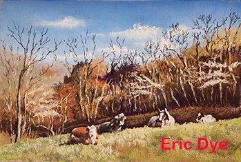 Eric Dye Before and After 1